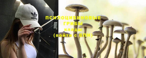 кристаллы Алзамай