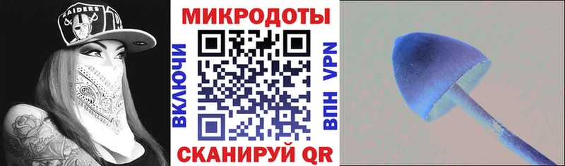 Псилоцибиновые грибы мицелий  Купить закладки  Малаховка 